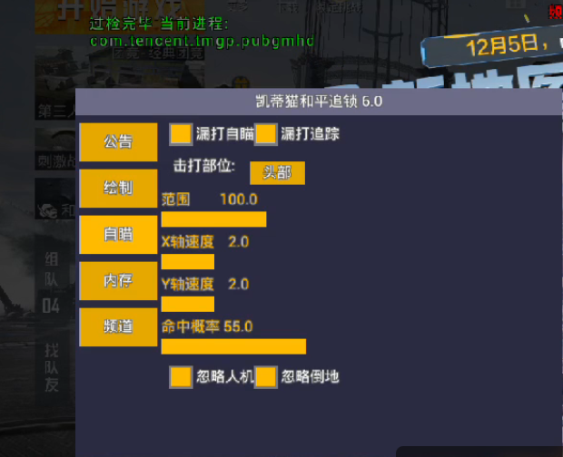 和平精英【雪儿内核】辅助